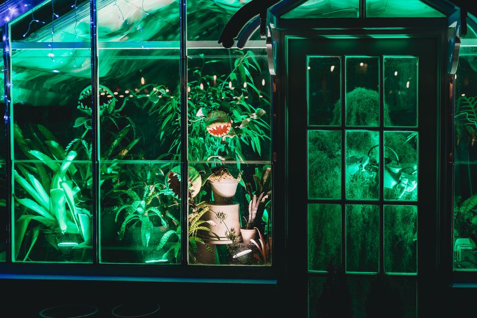 Magische bio-luminescentie verlicht de nachtelijke looppaden.