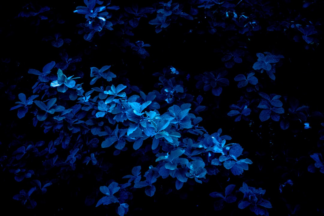 Glowing bio-luminescent bloemen in een donkere tuin.