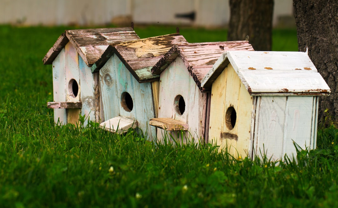 Kleine houten waterhuisjes hangen in groene tuin.