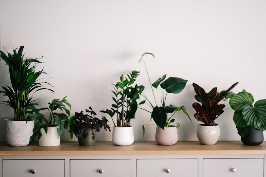 Futuristische kamerplant met neonverlichte bladeren.